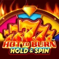 Hot to Burn Hold and Spin game thumbnail